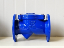 Van 1 chiều lá lật AUT-BS5153-0050